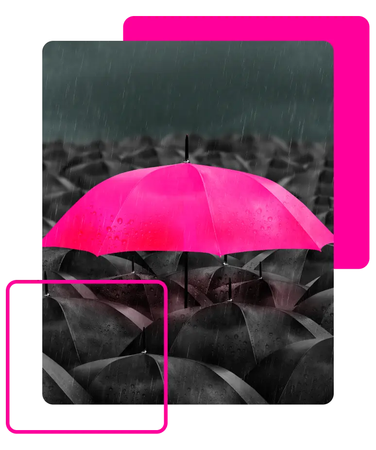 dpg-identidade-visual-img-03
